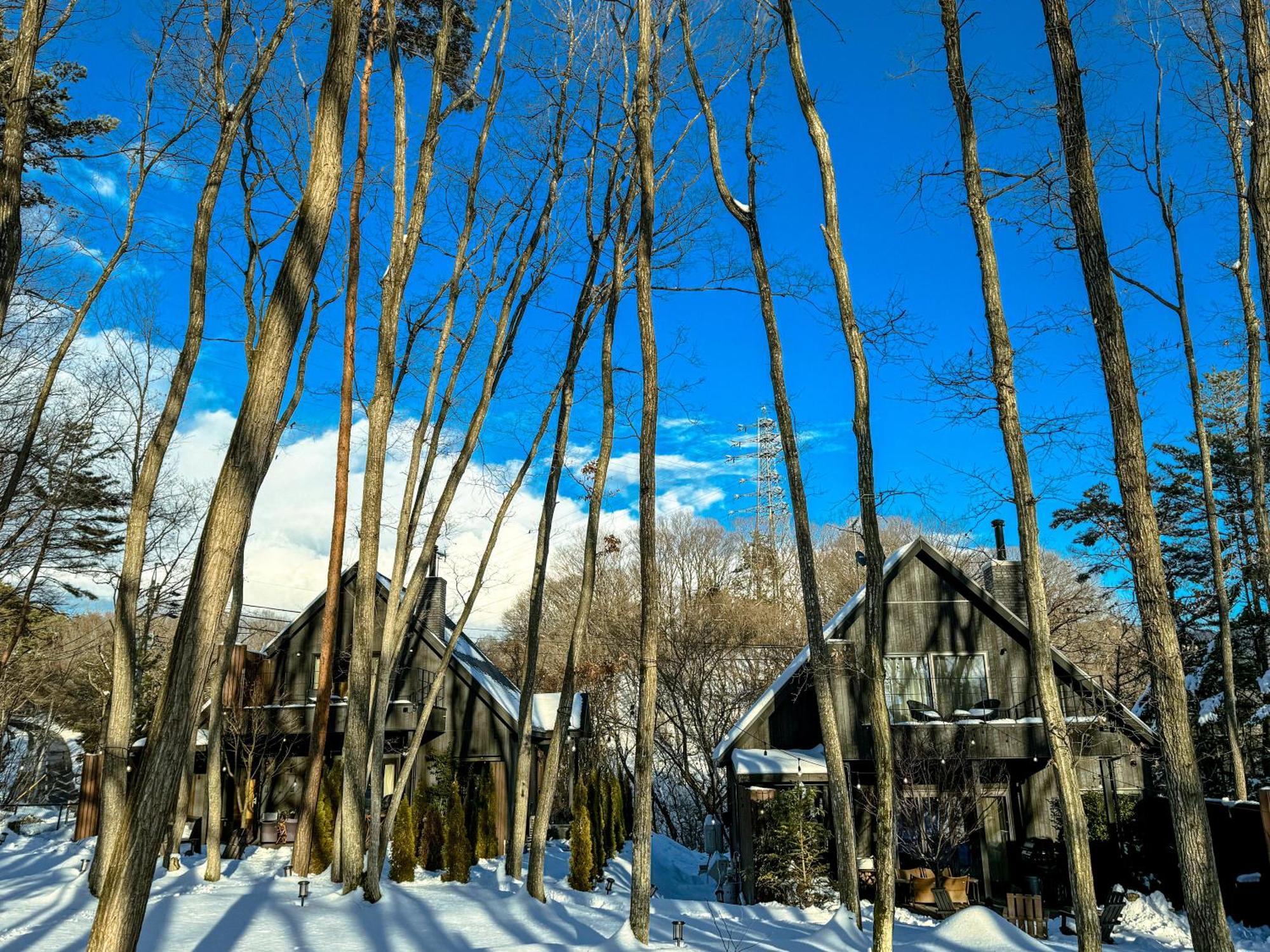 Sauna Forest Cabin 軽井沢 御代田　Mori-Asobi Oiwake Экстерьер фото